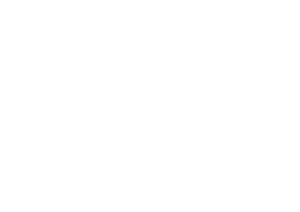 Flamen